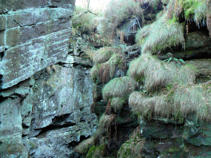 Lud's Church Lud's Church